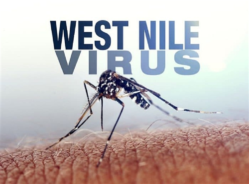 West Nile Virus: Vademecum