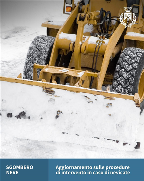 Servizio di sgombero neve