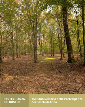 750° anniversario della Partecipanza dei Boschi di Trino